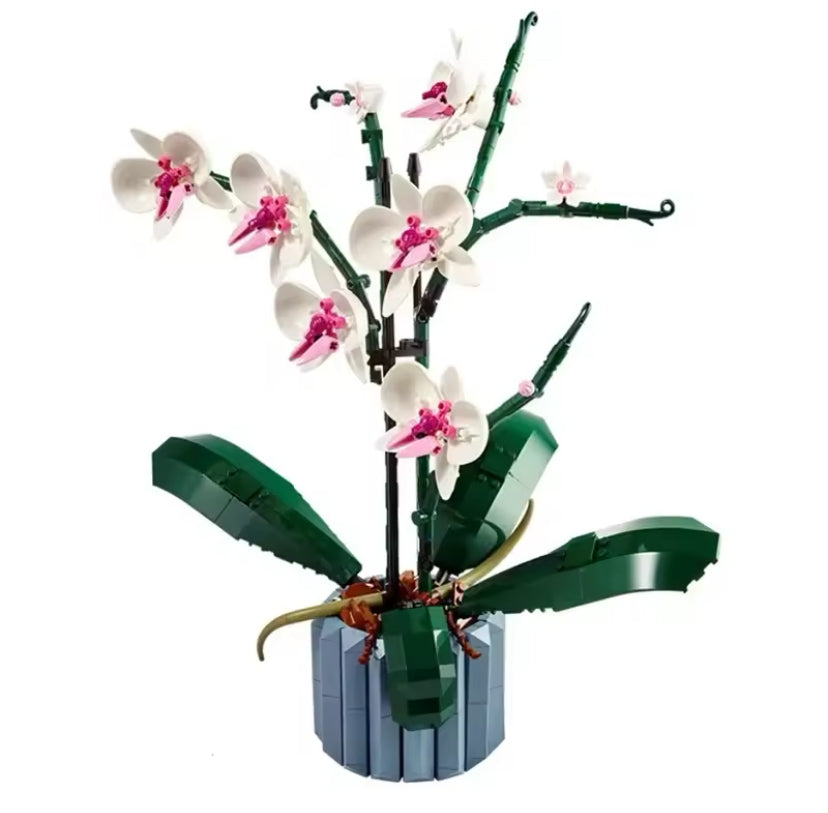 Blossom